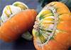 Squash
